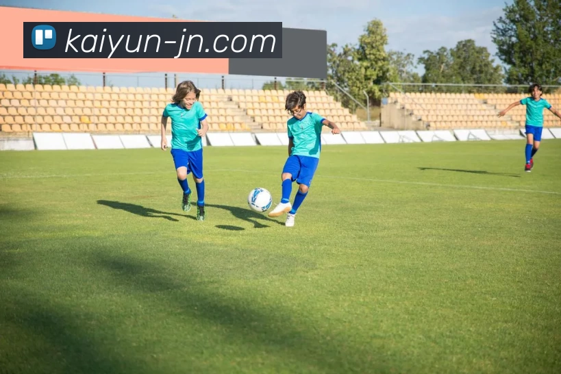 开云平台生态图